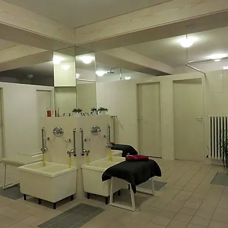 酒店 罗斯维塔柯尔酒店 巴特沃里斯霍芬
