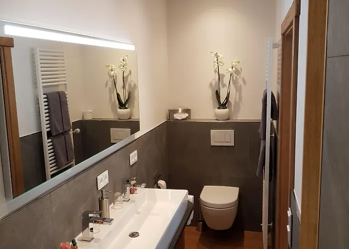 Roswitha Hotel 3*